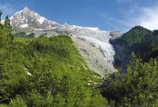 Glacier des Bossons today