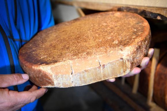 La forma di formaggio probabilmente la più vecchia del mondo: è custodita in Vallese