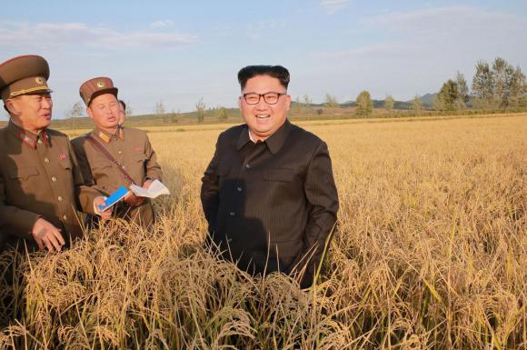 Kim jong un in un campo di grano assieme a due militari in uniforme