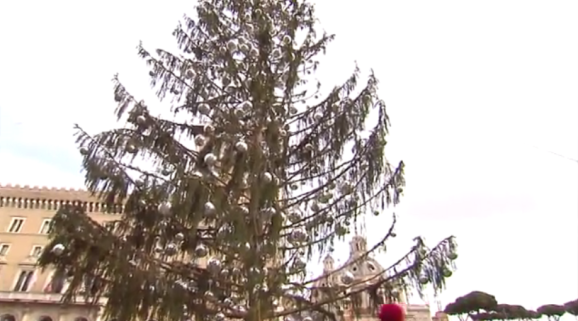 L albero di Natale a Roma in Piazza Venezia fa discutere i romani... ma è davvero brutto...