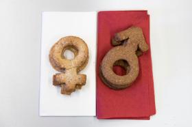 Immagine di due biscotti con la forma dei simboli maschile e femminile posati su due tovaglioli di colore diverso