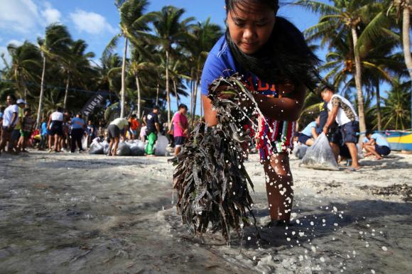 Una giovane filippina raccoglie alghe da acqua lurida lungo una spiaggia; palme e altre persone sul fondo