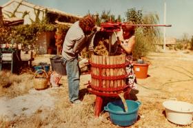 un uomo e una donna versano dell uva in un torchio