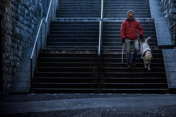 Una persona guidata da un cane per ciechi scende da una scalinata