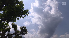 Immagine del cielo con nuvole scure sulla destra, sole (nascosto da un albero ma forte luce visibile) sulla sinistra