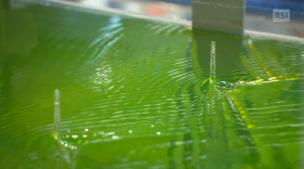 Primo piano di acqua (di colore verde trasparente) che scorre in quello che appare come un canaletto di plastica