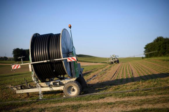 Rimorchio con grossa bobina di tubo avvolgibile per irrigare, parcheggiato a bordo d un campo coltivato.