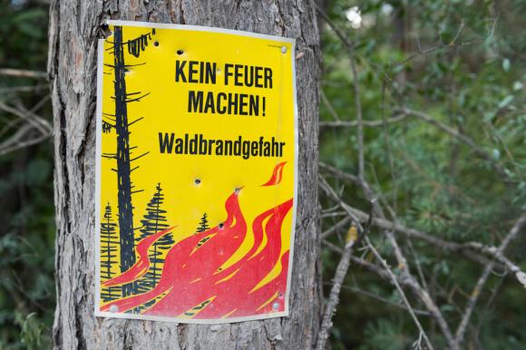 Il cartello posto su un albero che vieta l accensione dei fuochi all aperto