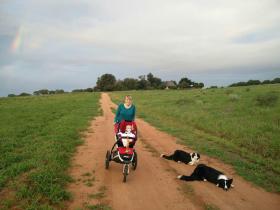 donna col passeggino mentre cammina con due cani su una strada sterrata