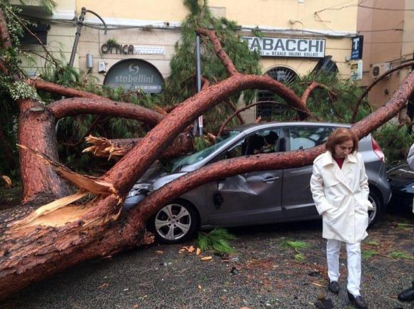 Un albero è caduto proprio sopra un automobile a Terracina in provincia di Latina, Lazio.