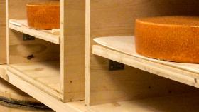 forme di formaggio in appositi contenitori arancioni.