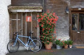 Due vasi di gerani (in uno, molto cresciuti in altezza) davanti a casa in legno; bicicletta sulla sx; porta d entrata sulla dx