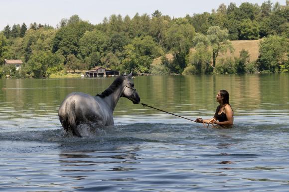 woman leading horse into lake