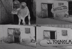 Collage di 4 immagini; davanti a una stalla, palloncini sospesi per aria con titolo del documentario e nome del regista