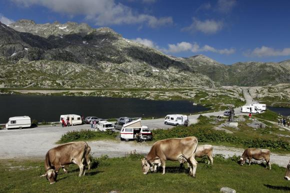 Paesaggio montano, verde estivo, con un lago; mucche in primo piano; diversi camper in lontananza