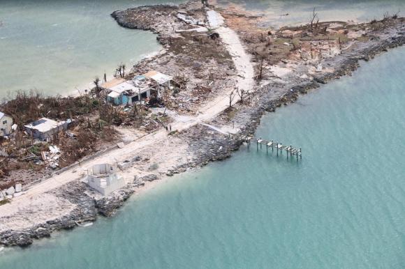 CAse e alberi distrutti in riva al mare visti dall alto