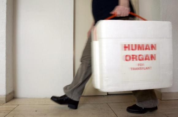 Un uomo con una valigia contenente organi umani pronti al trapianto