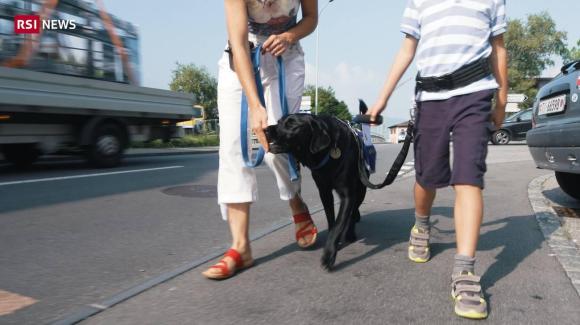 Un cane guida al guinzaglio per strada; si intravvedono un bambino e un adulto che camminano insieme all animale