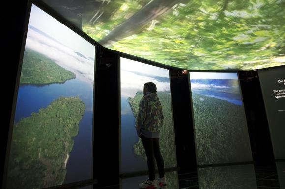 Visitatore osserva immagini della foresta amazzonica