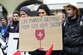 Una giovane donna regge un cartello con disegnato un bicchiere di vino rossocrociato e uno slogan; attorno, manifestanti