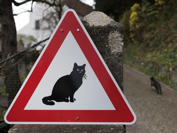 cartello segnaletico con raffigurato un gatto