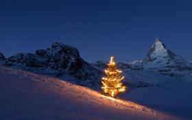 Un albero di Natale acceso a Zermatt con sullo sfondo il Cervino.