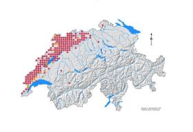 Cartina della Svizzera con quadratini rossi che coprono parte del nord-ovest del Paese