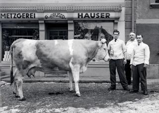 Metzger mit Kuh