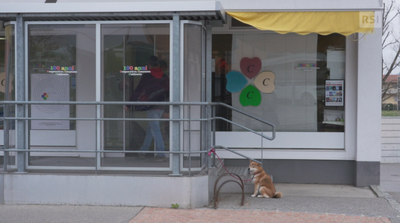 Esterno di negozietto (si intuisce da vetrine e tenda parasole); cane aspetta fuori, legato; un uomo sta entrando
