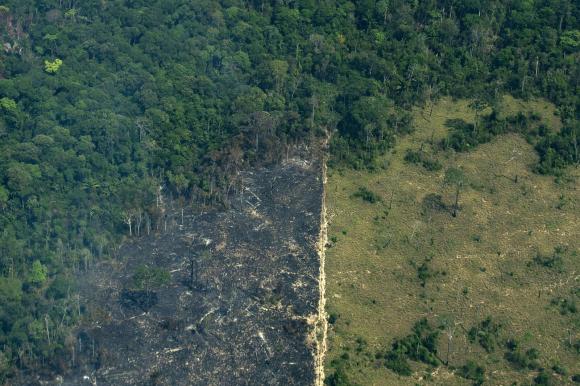 Continua la deforestazione in Amazzonia, favorita anche dal coronavirus