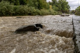 Il fiume Cassarate ingrossato dalle piogge delle ultime ore.