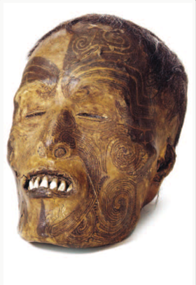 Una testa Maori presente nel museo.