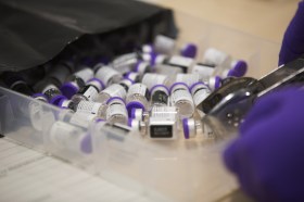 Fiale di vaccino anti-Covid (si legge in parte l etichetta) sfuse in un contenitore di plastica