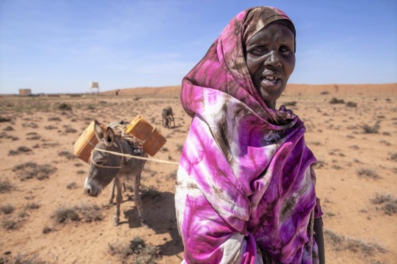 donna di colore con un asinello in una regione desertica