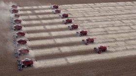 Multiple combine harvesters in grain field