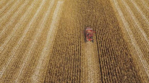 Veduta aerea di un campo di grano maturo attraversato da macchina agricola