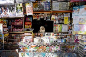 Un cagnolino sbuca dallo sportello di un edicola italiana colma di giornali.