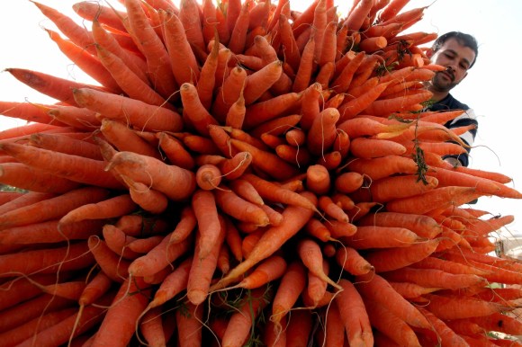 uomo trasporta un grosso carico di carote