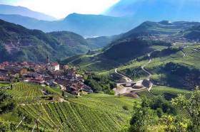 Vigneti nell alta Val di Cembra, in Trentino, uno dei territori più vocati alla viticoltura in quota.