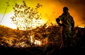 pompiere fotografato di spalle osserva un bosco in fiamme