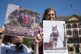 Manifestazione a sostegno del lupo