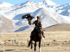 uomo a cavallo con un falco