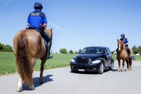 poliziotti a cavallo
